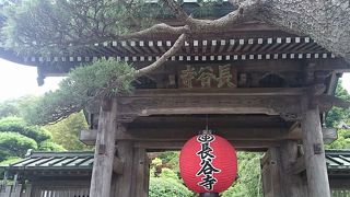 想像をはるかに超えた混雑