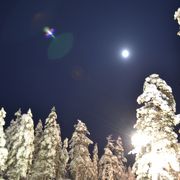 見渡す限り雪の芸術