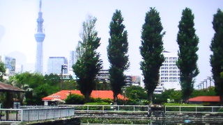 東京の下町の旧運河に沿って造営されたファミリーで楽しめる公園です。