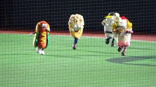 カープとの交流戦観てきました。