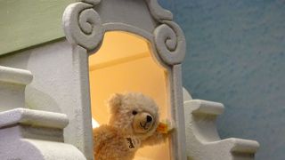 特にくま好きではなくても