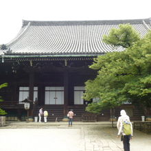 本堂前のこんもりした木が菩提樹