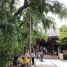 境内は順番待ちの人で溢れてます