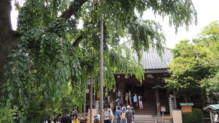 平日なのに凄い人