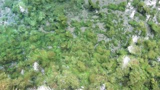 水がとってもきれい！！