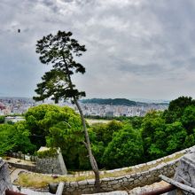 松山城から見晴らし