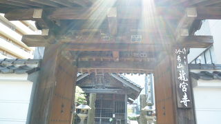 博多の文化や歴史を再発見しています