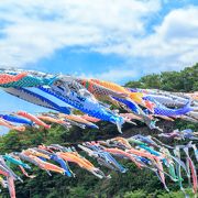 子供の日でもお昼頃に行けば、渋滞に巻き込まれません