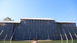 修復中に行ってみました