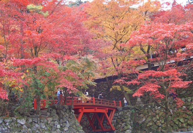 両界山 横蔵寺 クチコミ アクセス 営業時間 揖斐川 フォートラベル