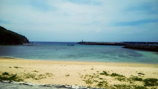 遠浅、小魚天国