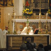 ごミサ中でした。