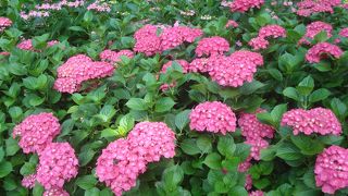 駅から徒歩徒歩16分