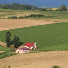 異国のような風景が広がります。