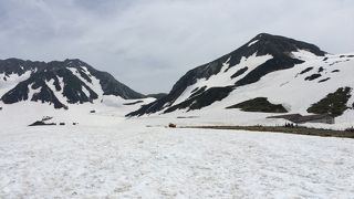 6月中旬でも遊歩道に雪が残っていました！
