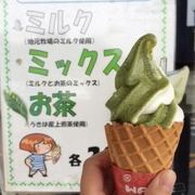 うきは産の上煎茶をたっぷり使ったお茶ソフト