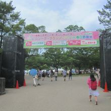 ムジーク・フェス2015