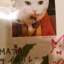 この子が看板猫ちゃんだった♪可愛い