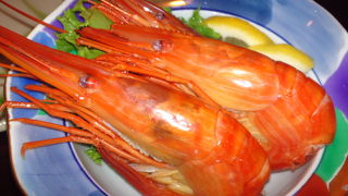 行くには少し不便ですが、それ以上に行く価値のある店です。