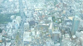 高いビルマニアの子供も満足