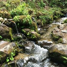 水が澄んでいる〜