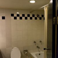 換気が悪く、小さいゴキブリが居ります。