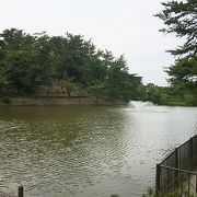 自然豊かな岡崎東公園