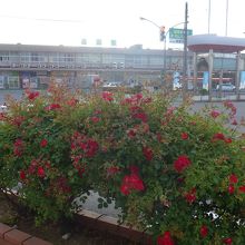 酒田駅正面風景