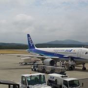 山形県には二つの空港があります　おいしい庄内空港は名前の通り美味しいものが沢山ある町の空港です