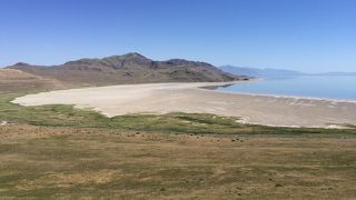 時間をもてあましたなら行ってみても良いかもしれない