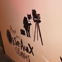 ８階の客室廊下には、猫の絵が描かれていました