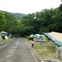 キャンプサイトです