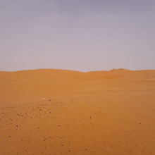一面の赤い色をした砂でおおわれた砂漠