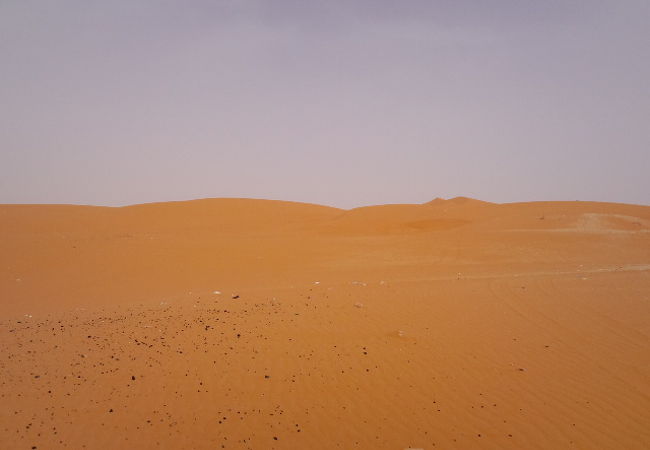 赤い砂漠 クチコミ アクセス 営業時間 リヤド フォートラベル
