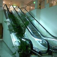 別館へ行くためのエスカレーター