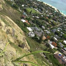 登るのはこんな場所