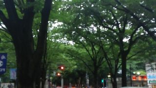 夏でものんびり