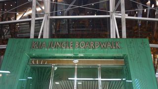 空港の中にジャングル！