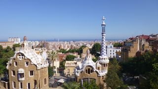 広い公園です。