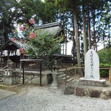 篠村八幡宮