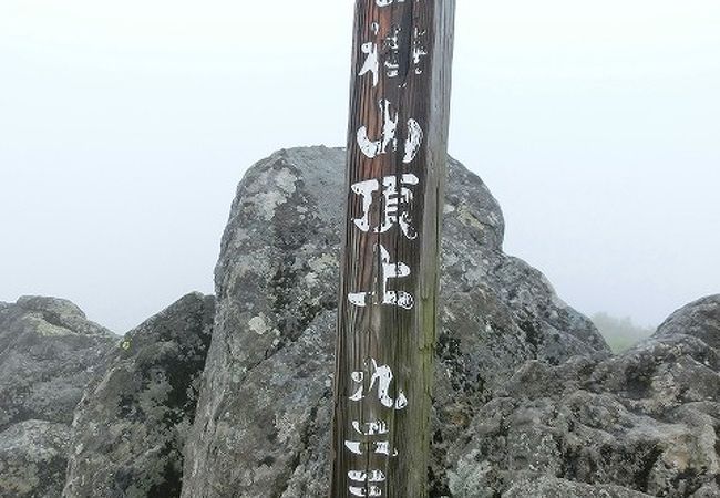 今の時期の白樺山はお花がいっぱいです