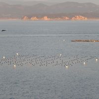 お部屋からの眺め