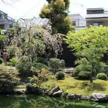 本格的な日本庭園を散策できます