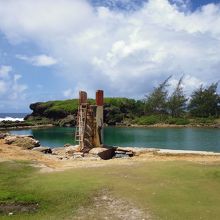 南側のプールです。