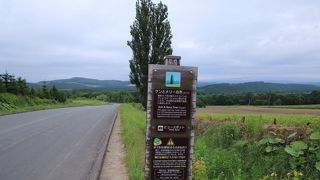 CMで一躍有名 ケン＆メリーの木