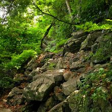 上の方は岩場、けっこう急登です