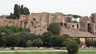 大きかったです