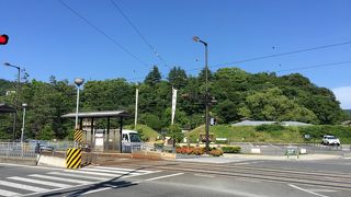 意外と見所があります！