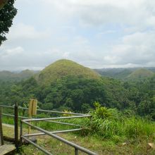 この時期はチョコレート色ではありません