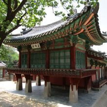 喜雨楼と杏の木